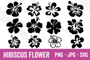 Hibiscus Flower